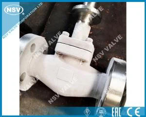 Kryogen smidde portventil