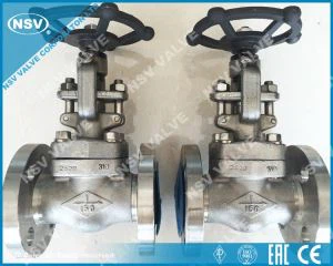 F310 Globe Valve